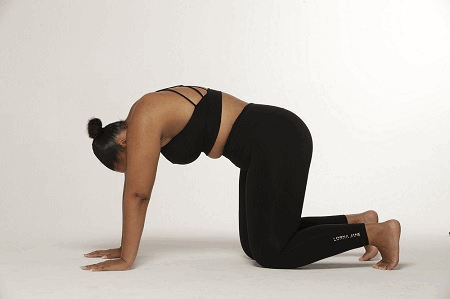 Woman on all fours doing yoga pose cat and cow wearing black sports bra and black ankle biter leggings.